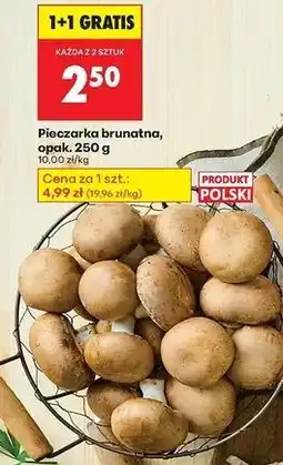 Biedronka Pieczarki brunatne oferta