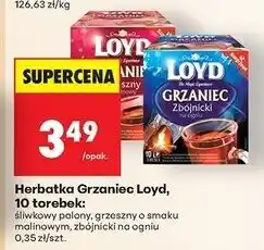 Biedronka Grzaniec grzeszny malinowy Loyd Tea oferta
