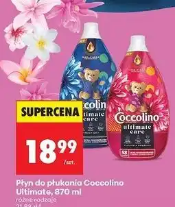 Biedronka Płyn do płukania fuchsia passion Coccolino Ultimate Care oferta