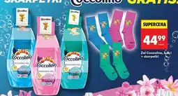 Biedronka Żel do prania odor protection Coccolino oferta