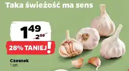 Netto Czosnek oferta