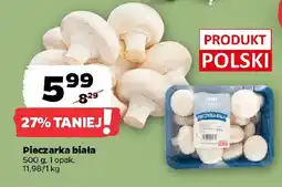 Netto Pieczarka biała oferta