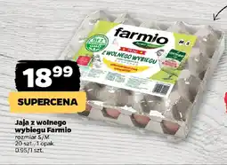 Netto Jaja z wolnego wybiegu Farmio oferta