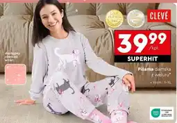 Biedronka Pizama damska z weluru oferta