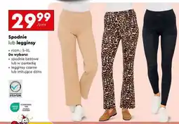 Biedronka Spodnie lub legginsy oferta