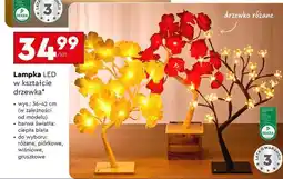 Biedronka Lampka LED w kształcie drzewka oferta