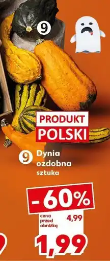 Kaufland Dynia ozdobna sztuka Kaufland oferta