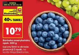 Biedronka Borówka amerykańska 300 g Biedronka oferta