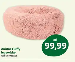 Maxi Zoo Legowisko AniOne oferta