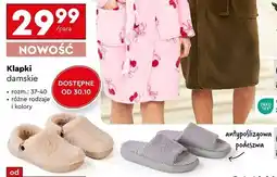 Biedronka Klapki damskie Cleve oferta