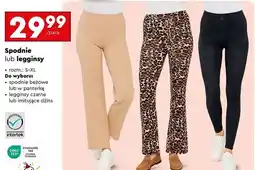 Biedronka Legginsy damskie s-xl oferta