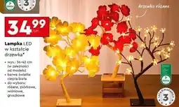 Biedronka Lampka led drzewo gruszkowe oferta
