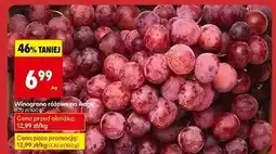 Biedronka Winogrona różowe oferta