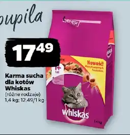 Netto Karma sucha dla kotów Whiskas oferta