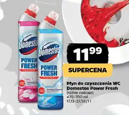 Netto Płyn do czyszczenia WC Domestos Power Fresh oferta