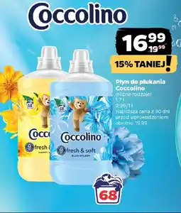 Netto Płyn do płukania Coccolino oferta