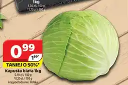 Delfin Kapusta biała oferta