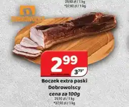 Delfin Boczek extra paski Dobrowolscy oferta