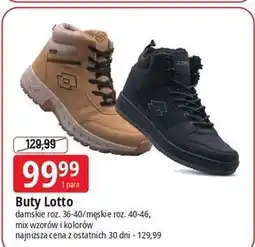 E.Leclerc Buty męskie Lotto oferta