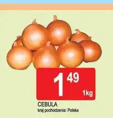 E.Leclerc Cebula żółta polska oferta