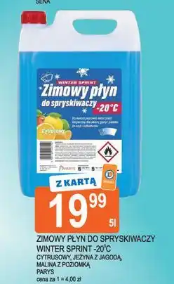 E.Leclerc Płyn zimowy do spryskiwaczy jeżyna z jagodą Winter Sprint oferta