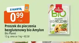 E.Leclerc Proszek do pieczenia bio Amylon oferta