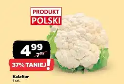 Netto Kalafior 1 szt. Netto oferta