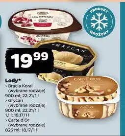 Netto Lody Grycan wybrane rodzaje oferta
