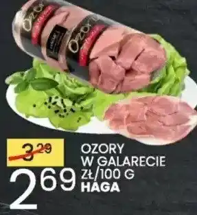 Wafelek Ozór w galarecie Haga oferta