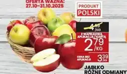 Wafelek Jabłko różne odmiany Wafelek oferta