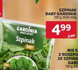 Stokrotka Szpinak baby Gardinia oferta