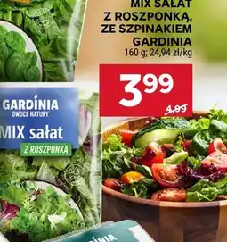 Stokrotka Mix sałat z roszponką Gardinia oferta