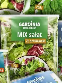 Stokrotka Mix sałat ze szpinakiem Gardinia oferta