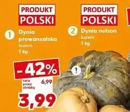Kaufland Dynia prowansalska oferta