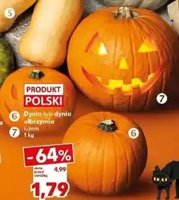 Kaufland Dynia olbrzymia oferta