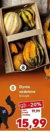 Kaufland Dynia ozdobna koszyk oferta