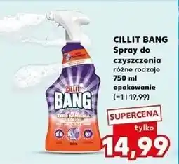 Kaufland Płyn zero kamienia Cillit Bang oferta