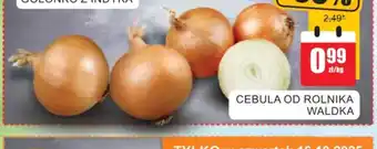 Bingo Cebula oferta