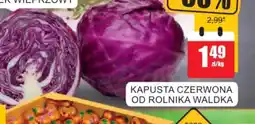 Bingo Kapusta czerwona oferta