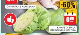 Bingo Kapusta biała oferta