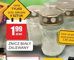 Bingo Znicz Biały oferta