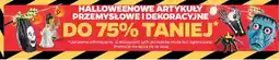 Netto Wiedźma led oferta