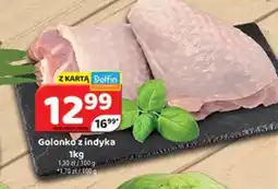 Delfin Golonko z indyka oferta