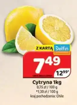Delfin Cytryna oferta