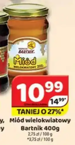 Delfin Miód wielokwiatowy bartnik oferta