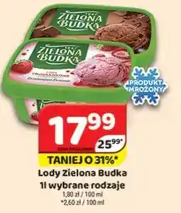 Delfin Lody Zielona Budka oferta