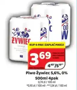 Delfin Piwo Żywiec 5,6%, 0% oferta