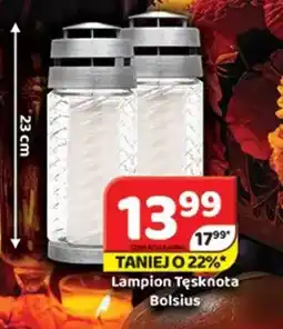 Delfin Lampion Tęsknota oferta