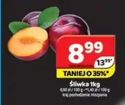 Delfin Śliwka oferta