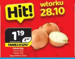 Delfin Cebula oferta